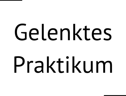 Gelenktes Praktikum