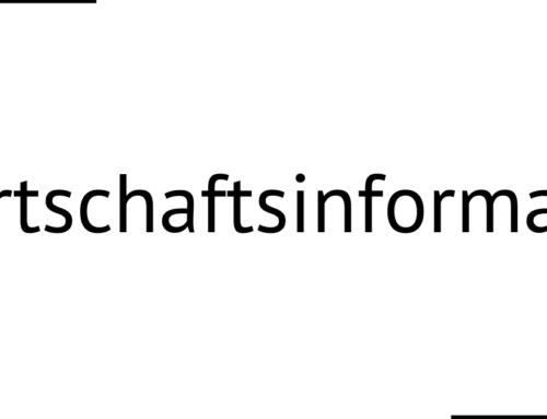 Wirtschaftsinformatik